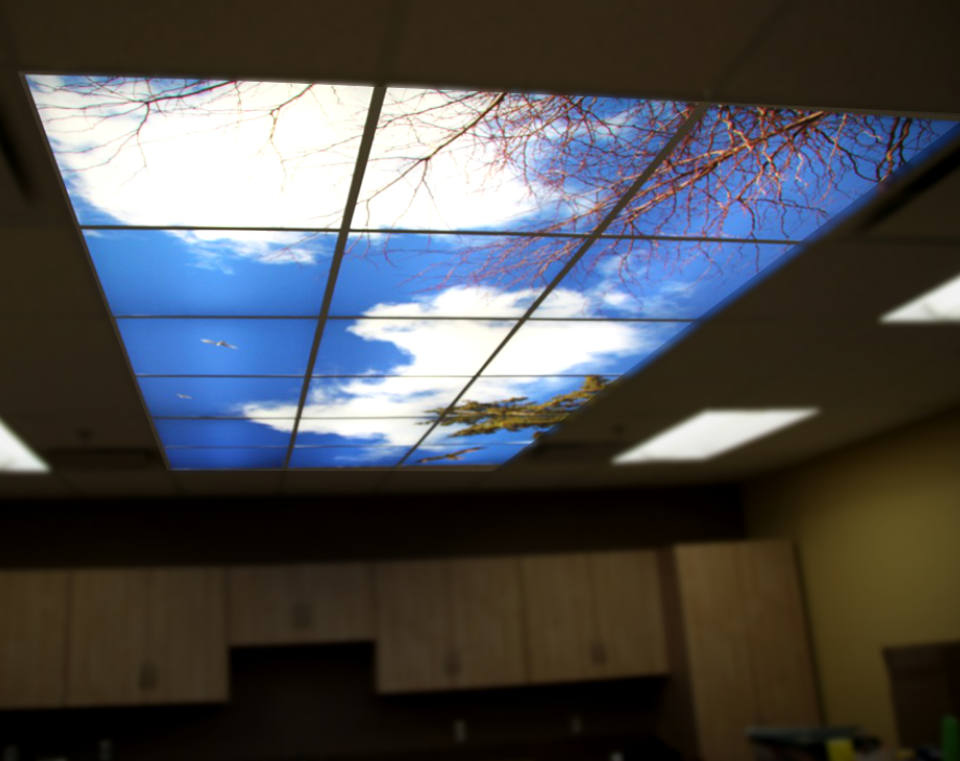Backlit Photo Ceiling Panels
